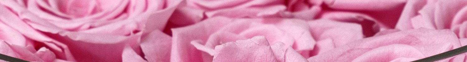 Banner_Grossauftraege